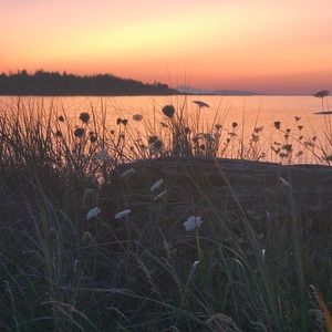 Meet your Posher, Candie